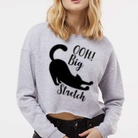 Big Stretch Funny Cat Lover Cropped Pullover Crew