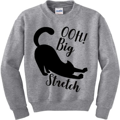 Big Stretch Funny Cat Lover Kids Sweatshirt