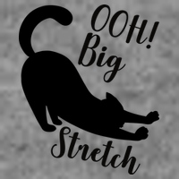 Big Stretch Funny Cat Lover Kids T-Shirt