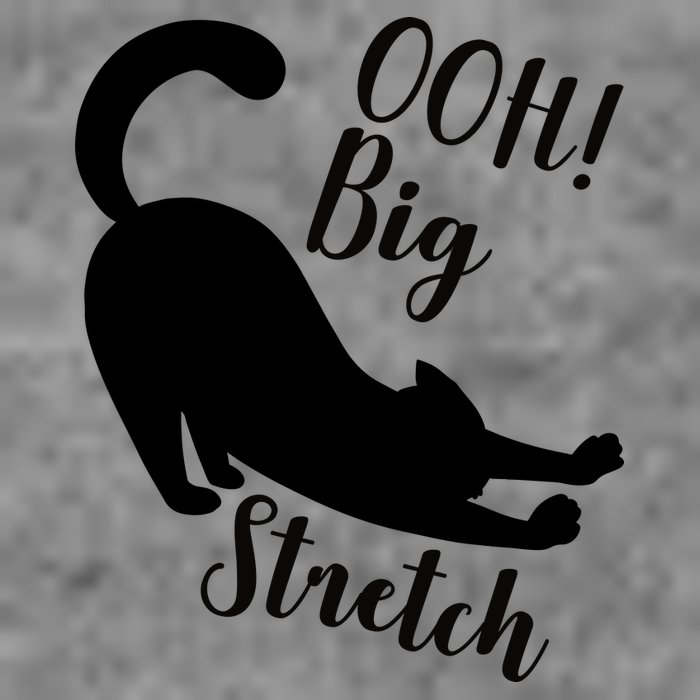 Big Stretch Funny Cat Lover Kids T-Shirt