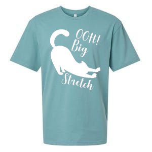 Big Stretch Funny Cat Lover Sueded Cloud Jersey T-Shirt