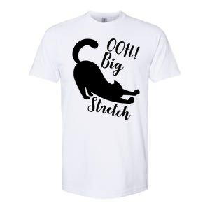 Big Stretch Funny Cat Lover Softstyle CVC T-Shirt