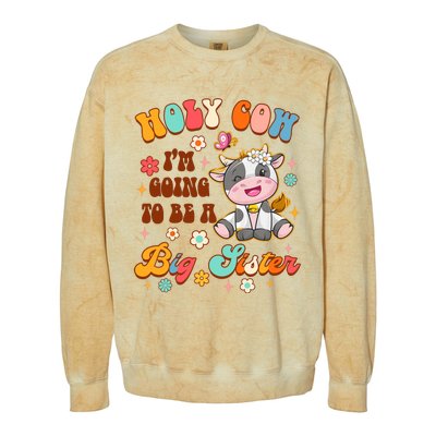 Big Sister Funny Holy Cow Im Going To Be A Big Sister Colorblast Crewneck Sweatshirt