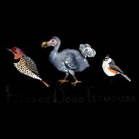 Bird Subtle Flicker Dodo Titmouse 16oz Travel Tumbler
