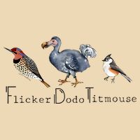 Bird Subtle Flicker Dodo Titmouse Bag