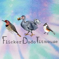 Bird Subtle Flicker Dodo Titmouse Legacy Tie Dye Trucker Hat