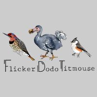 Bird Subtle Flicker Dodo Titmouse Tie-Dye T-Shirt
