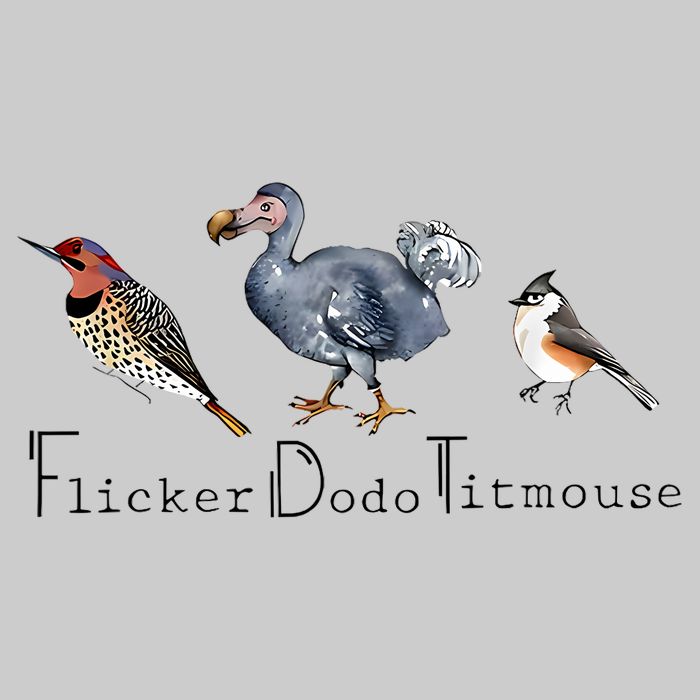 Bird Subtle Flicker Dodo Titmouse Tie-Dye T-Shirt