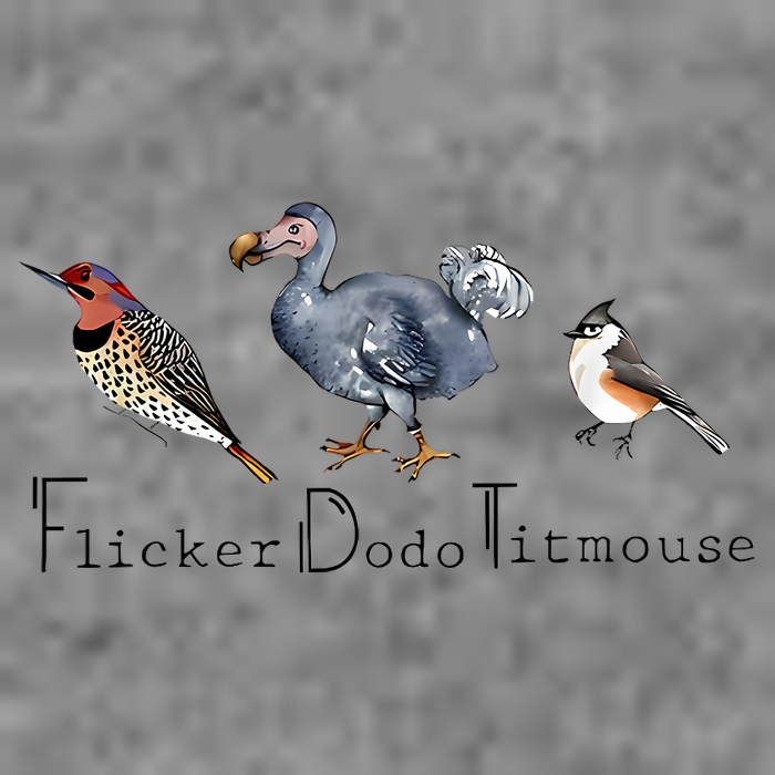 Bird Subtle Flicker Dodo Titmouse Hooded Wearable Blanket