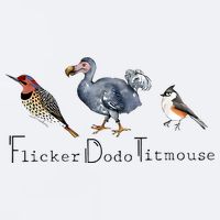 Bird Subtle Flicker Dodo Titmouse Sueded Cloud Jersey T-Shirt