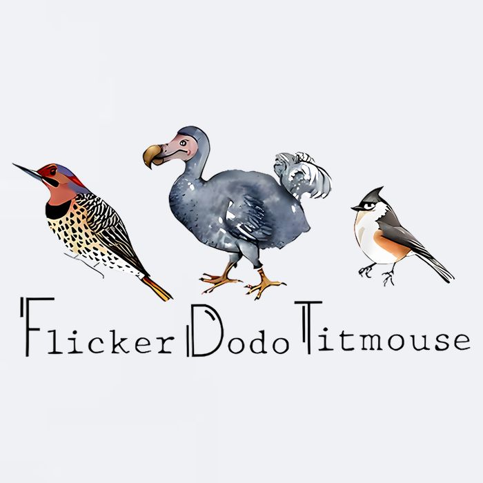 Bird Subtle Flicker Dodo Titmouse Sueded Cloud Jersey T-Shirt