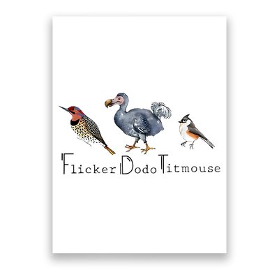 Bird Subtle Flicker Dodo Titmouse Poster
