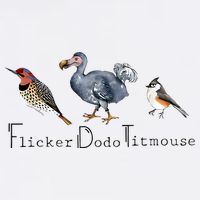 Bird Subtle Flicker Dodo Titmouse Toddler T-Shirt