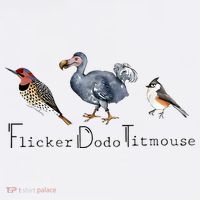 Bird Subtle Flicker Dodo Titmouse Short Acrylic Beanie