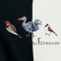 Bird Subtle Flicker Dodo Titmouse Infant Baby Jersey Bodysuit