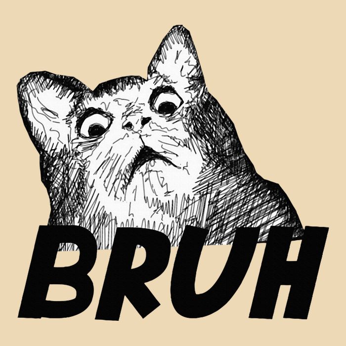 Bruh Shocked Gasp Cat Bag
