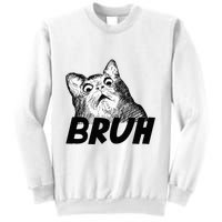 Bruh Shocked Gasp Cat Sweatshirt
