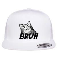 Bruh Shocked Gasp Cat Flat Bill Trucker Hat