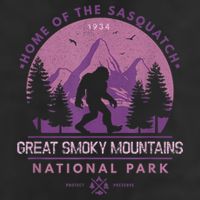 Bigfoot Sasquatch Great Smoky Mountains National Park Adult Drive Performance Visor