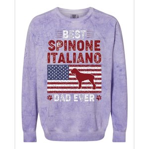 Best Spinone Italiano Dad Ever American Flag Dog Dad Colorblast Crewneck Sweatshirt