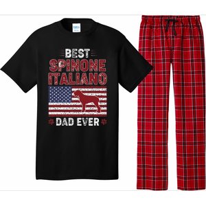 Best Spinone Italiano Dad Ever American Flag Dog Dad Pajama Set