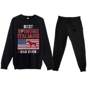 Best Spinone Italiano Dad Ever American Flag Dog Dad Premium Crewneck Sweatsuit Set