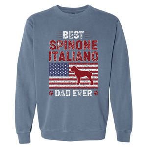 Best Spinone Italiano Dad Ever American Flag Dog Dad Garment-Dyed Sweatshirt