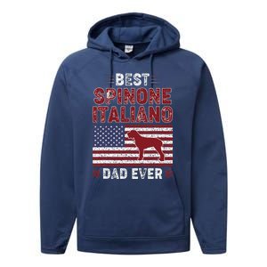 Best Spinone Italiano Dad Ever American Flag Dog Dad Performance Fleece Hoodie