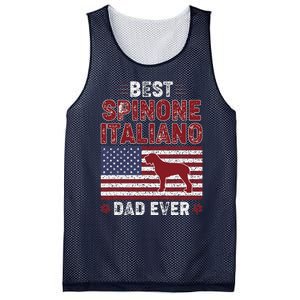 Best Spinone Italiano Dad Ever American Flag Dog Dad Mesh Reversible Basketball Jersey Tank