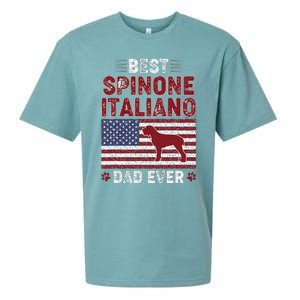 Best Spinone Italiano Dad Ever American Flag Dog Dad Sueded Cloud Jersey T-Shirt