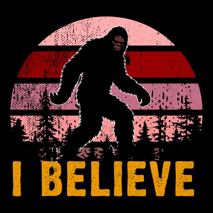 Bigfoot Squatch I Believe Bigfoot Kids Colorblock Raglan Jersey