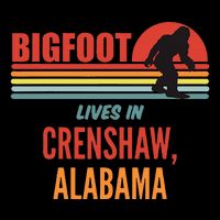 Bigfoot Sighting In Crenshaw Alabama 16 in Basic Backpack