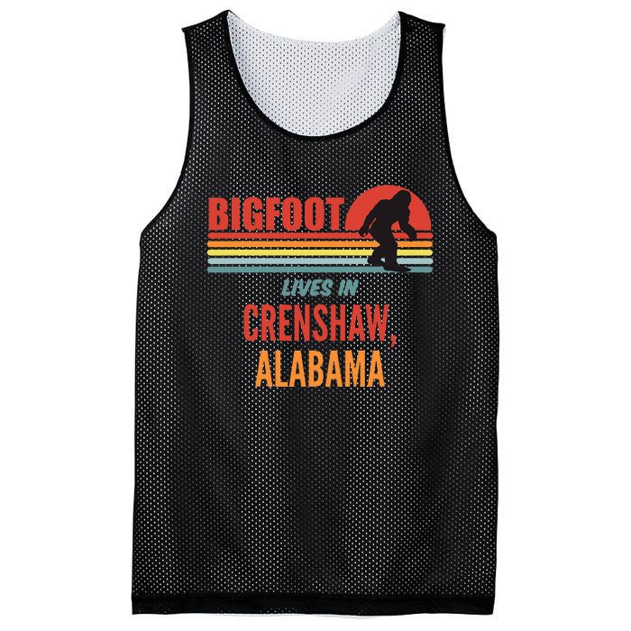 Bigfoot Sighting In Crenshaw Alabama Mesh Reversible Basketball Jersey Tank