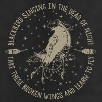 Blackbird Singing In Dead Of The Night Music Lover Adult Drive Performance Visor