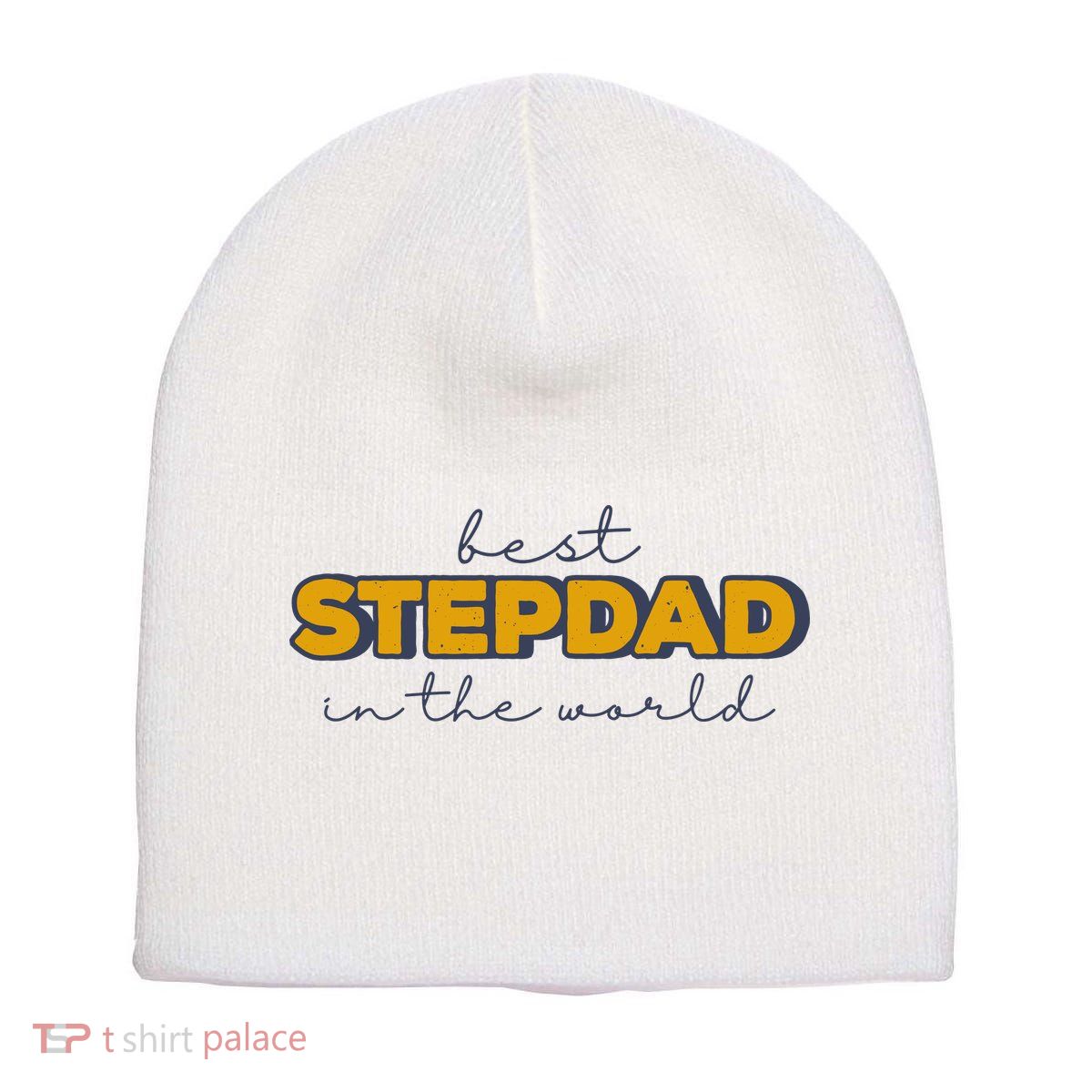 Best Stepdad In The World Fathers Day Short Acrylic Beanie