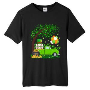 Baseball Sports Lover Shamrock Leaf Baseball St Patricks Day Gift Tall Fusion ChromaSoft Performance T-Shirt