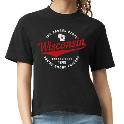 Badger State Map Pride Vintage Of Wisconsin Comfort Colors Boxy T-Shirt
