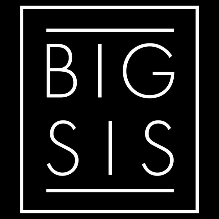 Big Sis New Baby Sibling Cooling Performance Crew T-Shirt