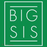 Big Sis New Baby Sibling Premium T-Shirt