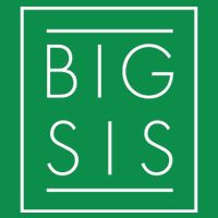 Big Sis New Baby Sibling Womens T-Shirt