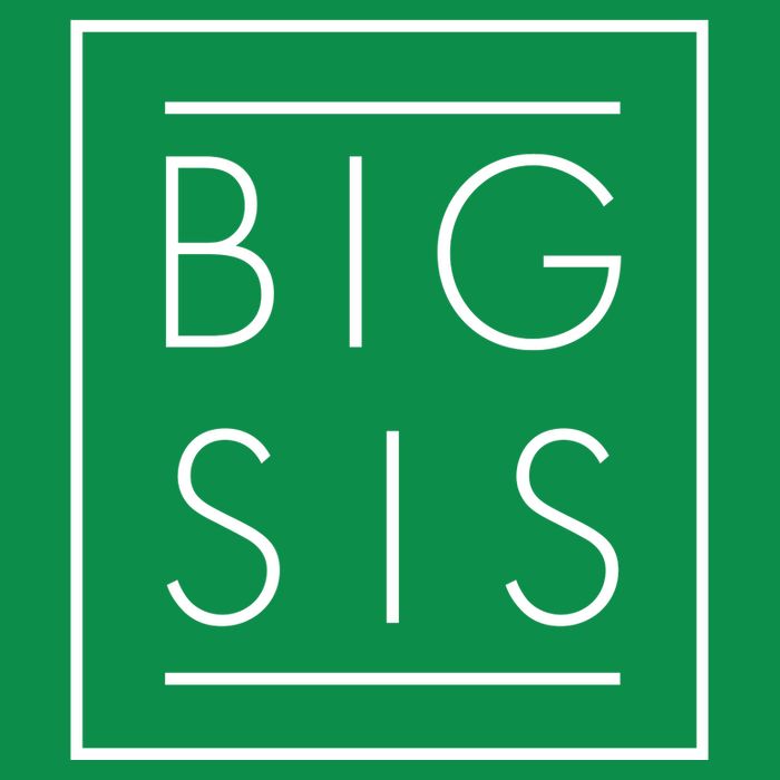 Big Sis New Baby Sibling Womens T-Shirt