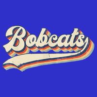 Bobcats Sports Name Vintage Retro Gift Button