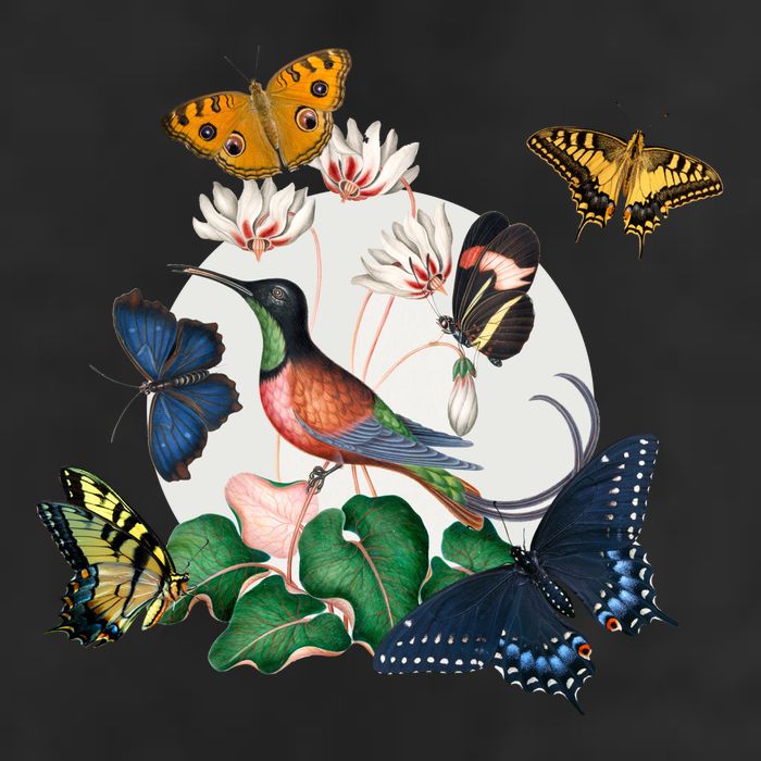 Butterfly Spring Nature Garment-Dyed Heavyweight T-Shirt