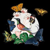 Butterfly Spring Nature Flatbill Hat