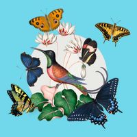 Butterfly Spring Nature Button