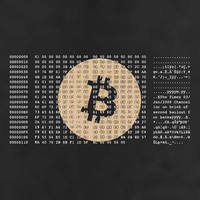 Bitcoin Satoshi Nakamoto Block Cryptocurrency Hat