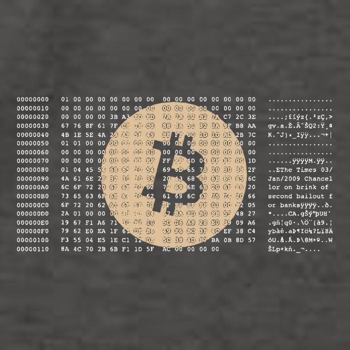 Bitcoin Satoshi Nakamoto Block Cryptocurrency Vector Backpack