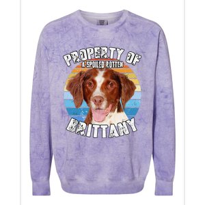 Brittany Spaniel Property Of Cute Dog Colorblast Crewneck Sweatshirt