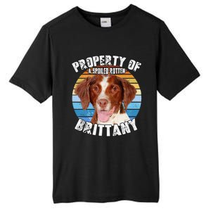 Brittany Spaniel Property Of Cute Dog Tall Fusion ChromaSoft Performance T-Shirt