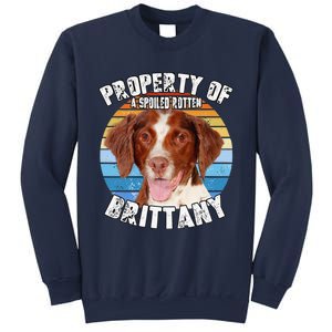 Brittany Spaniel Property Of Cute Dog Sweatshirt